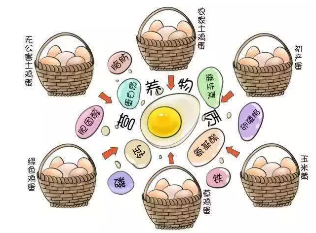 遍尋菜譜收集的雞蛋7中新吃法，第2中最好，第7中最營養(yǎng)